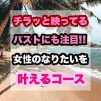画像376